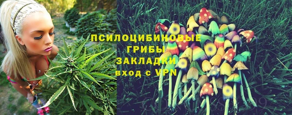 MDMA Premium VHQ Белокуриха